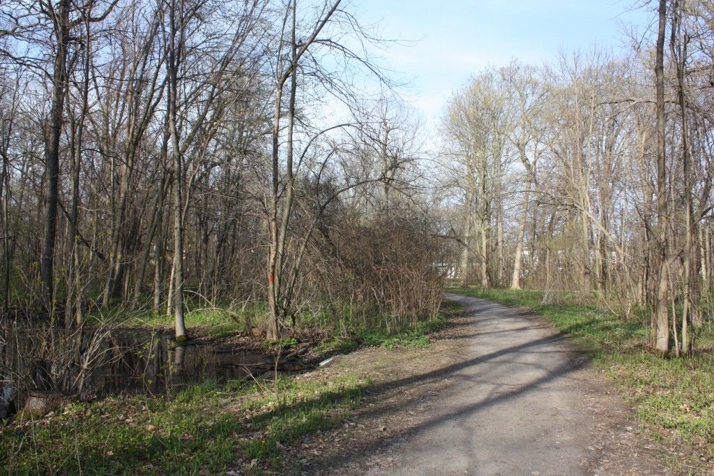 Dwight Perkins Woods at Grant Street and Ewing Avenue