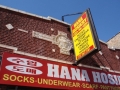 Lawrence Avenue - Hana Hosiery