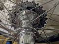 Ambrosio-Nemesis-to-White-Industry-Hubs-Campy-body-and-cassette-tubular-wheelset-2