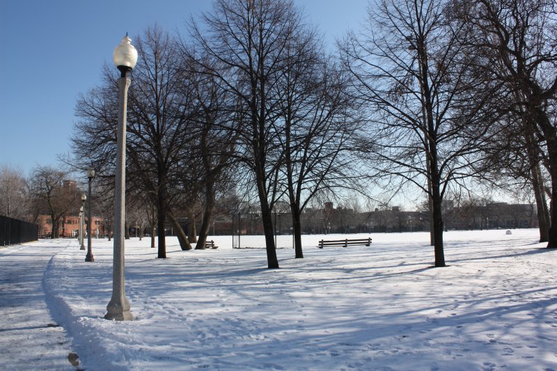 Winter at Union Park